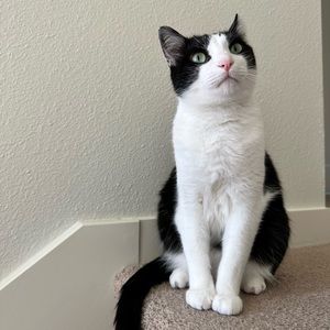 Meet your Posher, Olivia